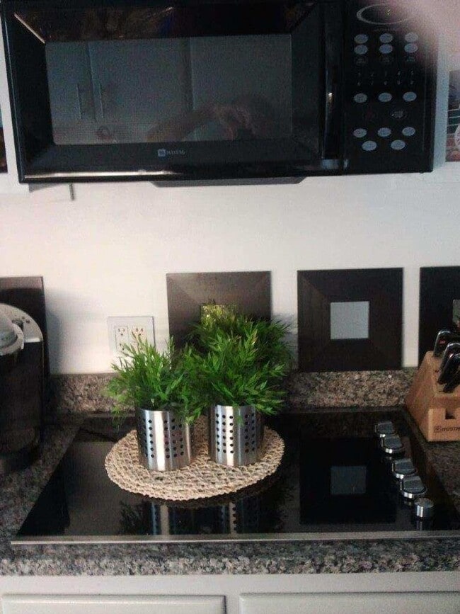 Photo - Bel Fontaine on Lake Eola