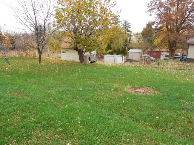Photo - 3 bedroom 1 bath home with large yard