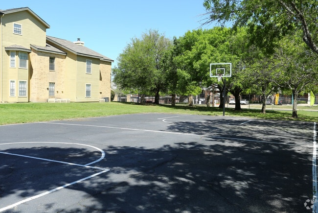 Cancha de básquetbol