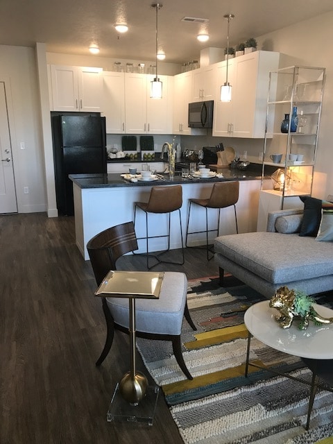 Photo - Artesian Springs