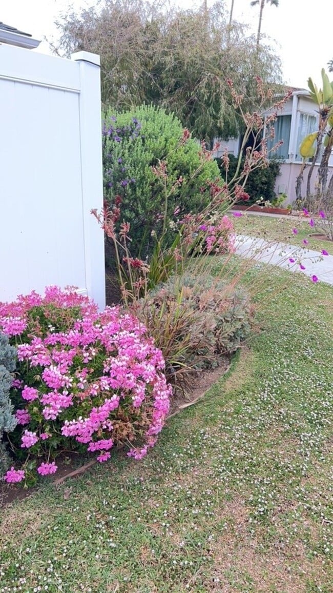 Photo - 1 Block from the Beach! Apartment Home in Ocean Beach! Private Garage! Private Patio! Unit 4830 Pescadero Ave