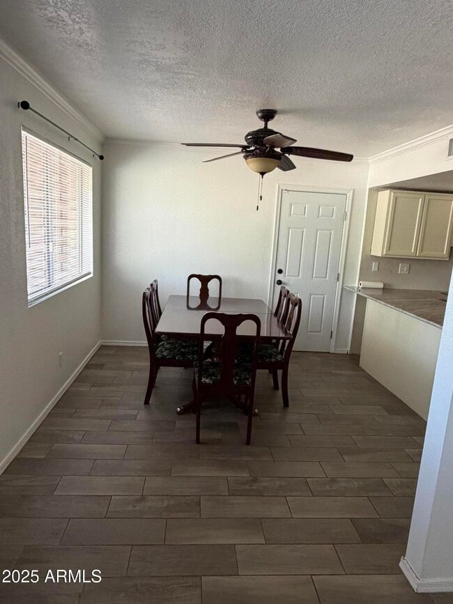 Photo - 1101 Cholla Cir