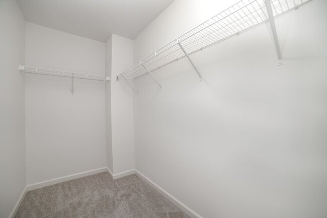 Photo - 11033 Ardglass Ct