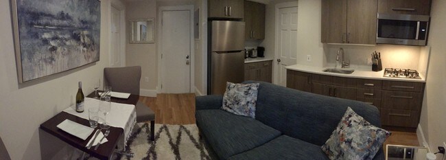 Completely renovated 1 BR 1BA - 290 Commonwealth Ave