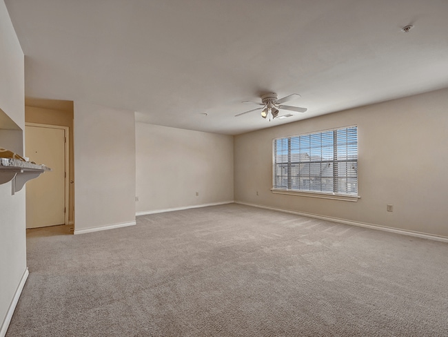 A Blank Canvas for Your Design