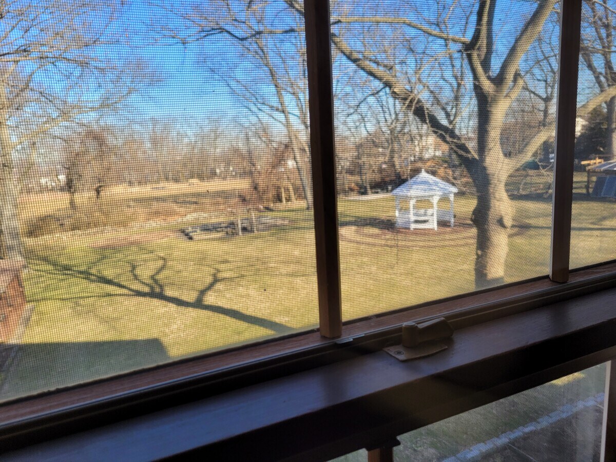 backyard - 1560 Forest Hill Rd