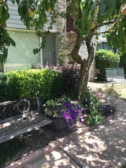 Photo - 2 bedroom 2bath townhome