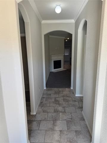 Photo - 5856 Bindweed Street