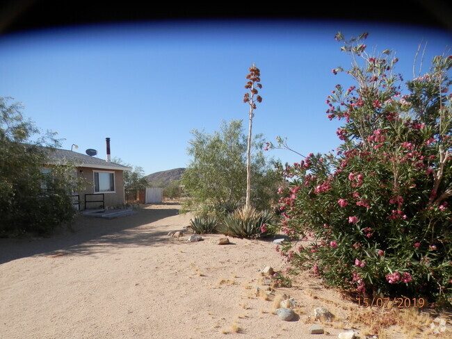 Building Photo - 1038 Alta Ave Rental