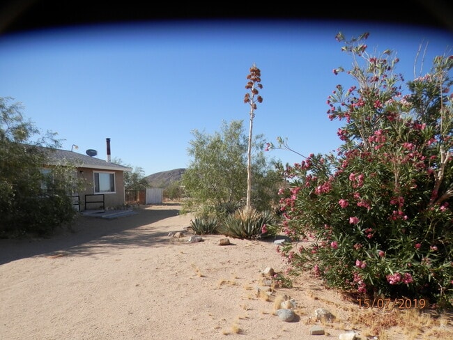 Building Photo - 1038 Alta Ave Rental