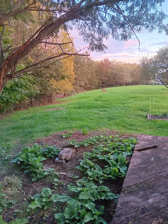 Photo - 992 Broad Ln