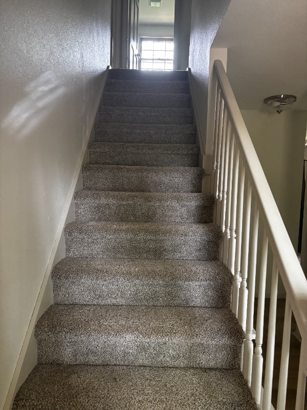 Photo - 27831 Homestead Rd