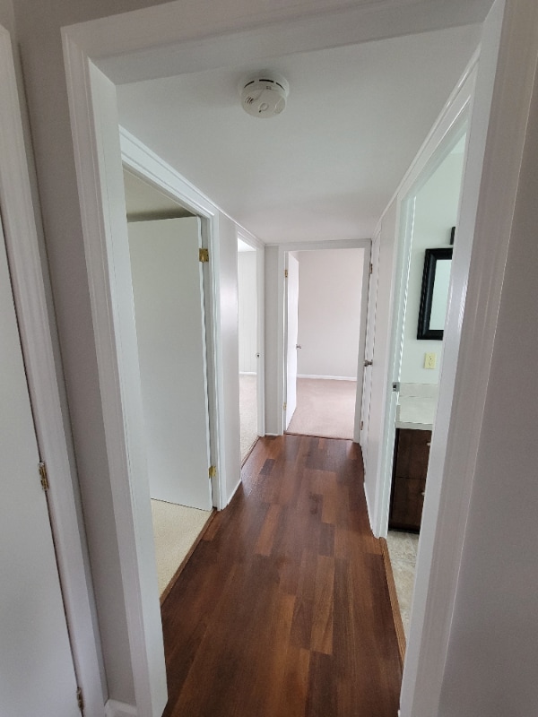 Photo - 1147 W 37th St