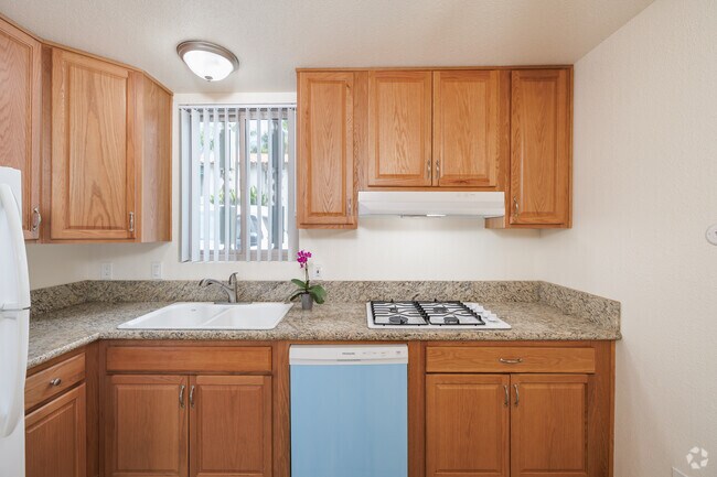 2BR, 1.5BA - 1,050SF - Kitchen