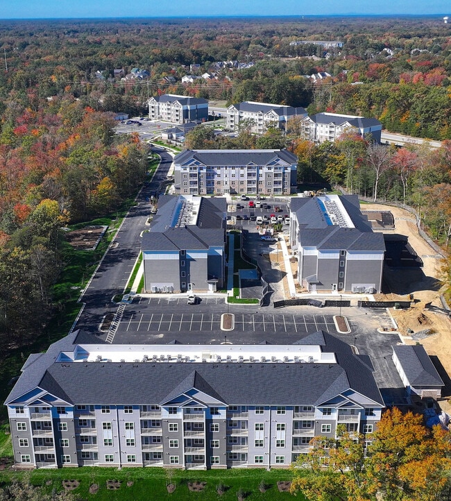 Photo - Canopy on Western