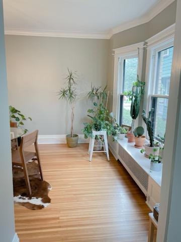 Fully Renovated Park and Beverly!