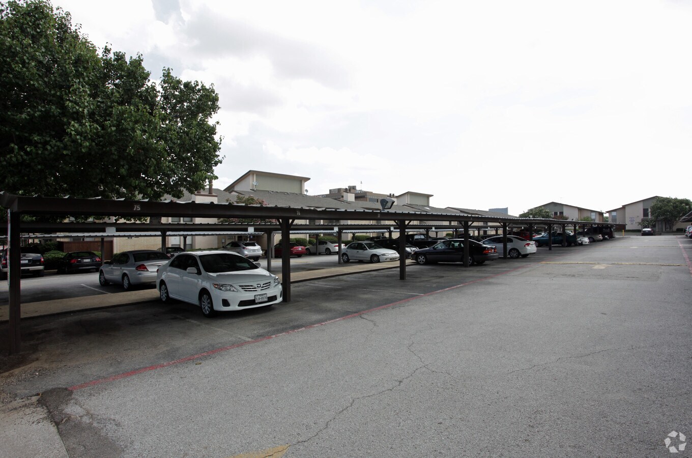 Photo - Las Colonitas