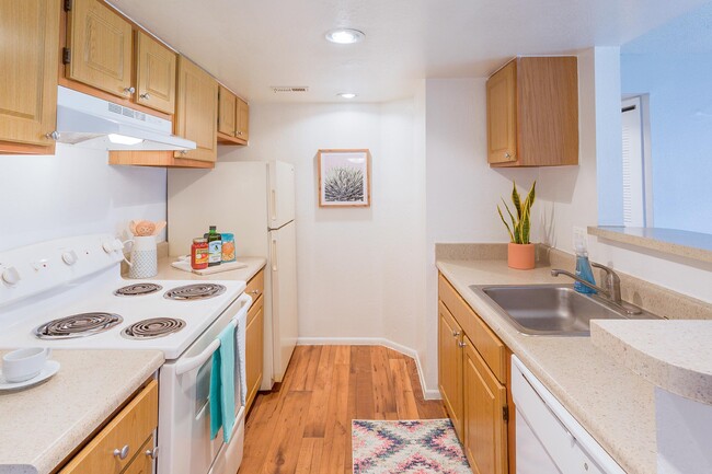 Kitchen - The Pines Apartments