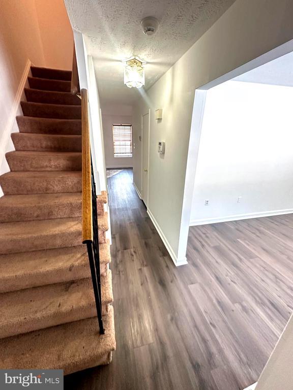 Photo - 13019 Trumbull Dr