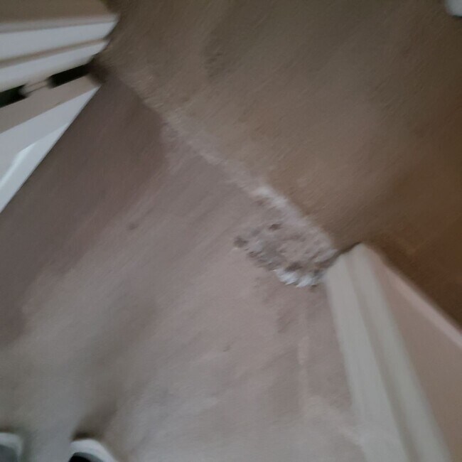 Photo - BEAUTIFUL ROSETTA CANYON 45014 Anabel Lane Lake Elsinore