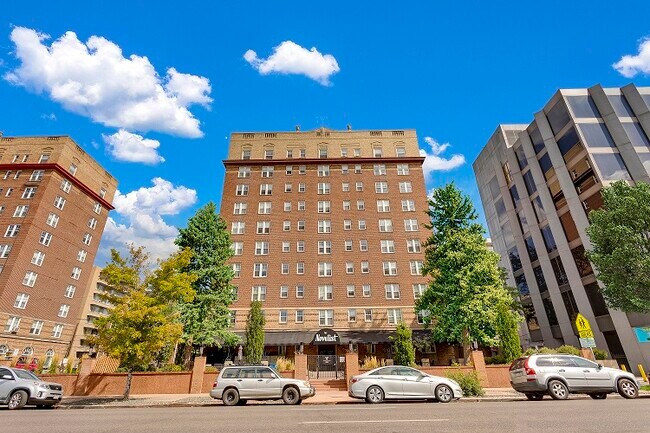 Photo - The Novelist