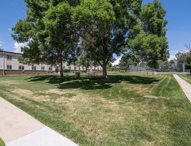 Photo - Nice Studio condo-swimming pool! Unit 3