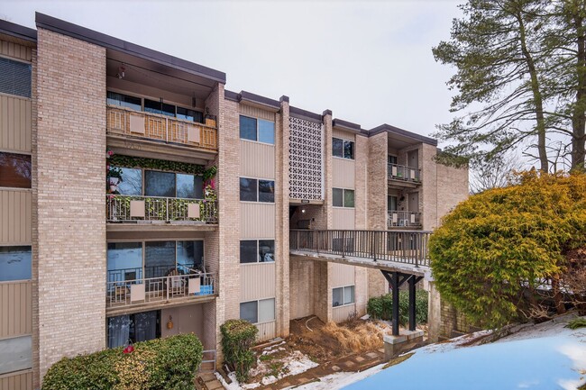 Building Photo - 12301 Braxfield Ct