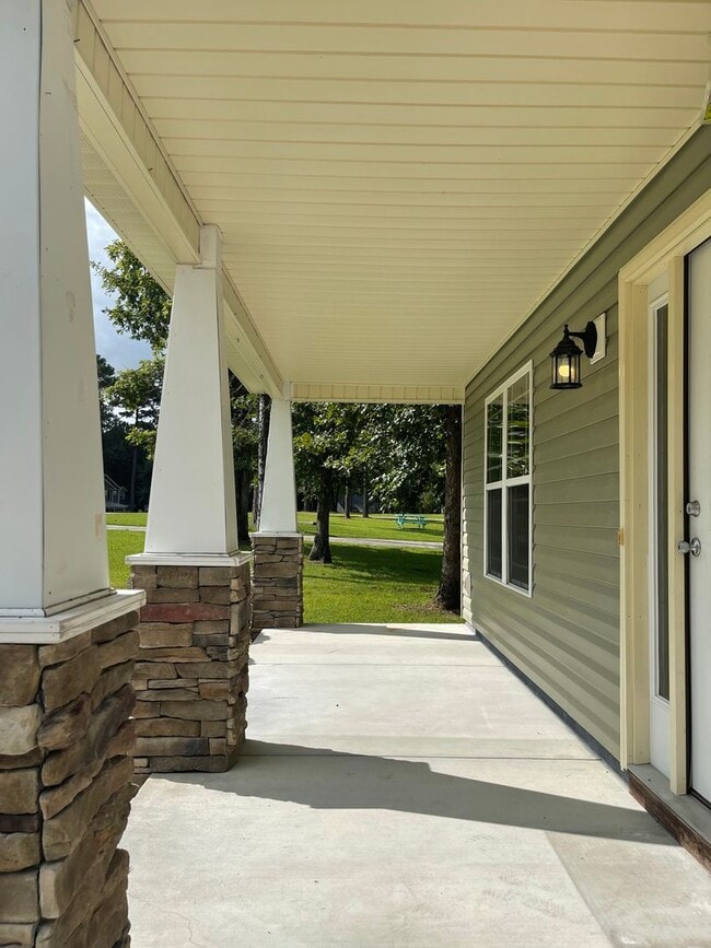 Photo - Super Sugarberry