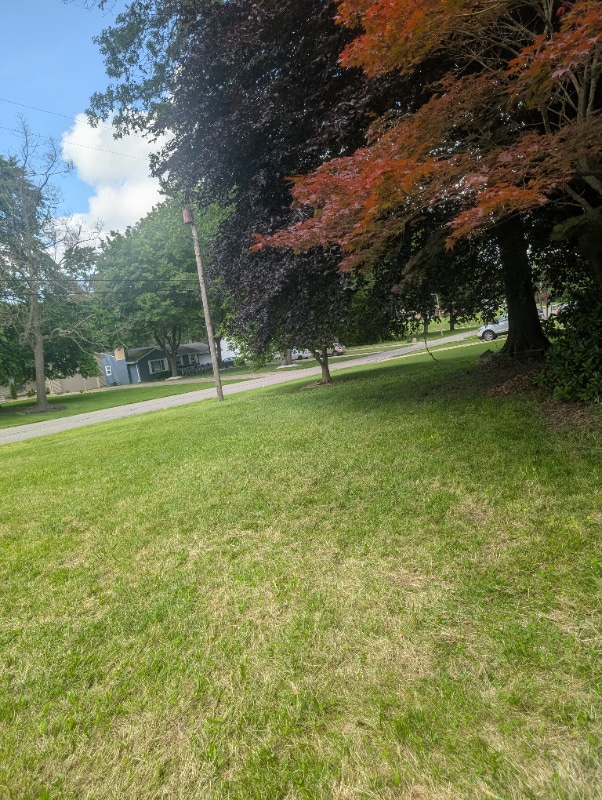 Photo - 557 Murray Hill Dr