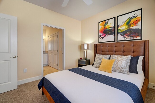 Photo - Latitude 31°