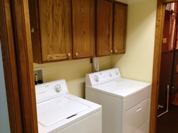 Nice washer and dryer with storage - 1105 W North Water St Unit 1105