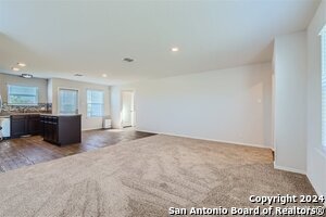 Photo - 14739 Hooded Merganser