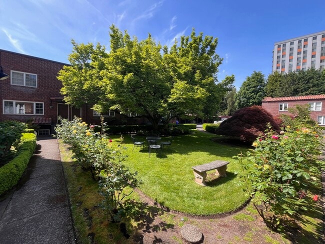 Photo - Rosegate