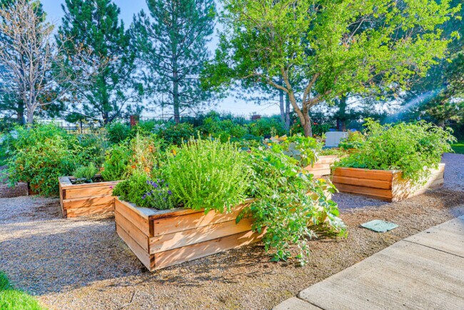 Community Gardens
