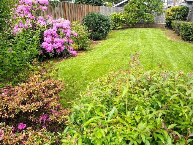 Photo - 320 Wilson St S Unit 320 Wilson St S