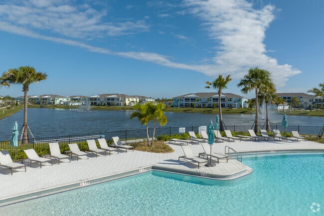 Piscina - Vida Lakewood Ranch