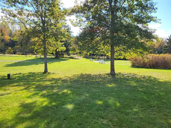 Backyard - 18 Beachwood Bay Dr