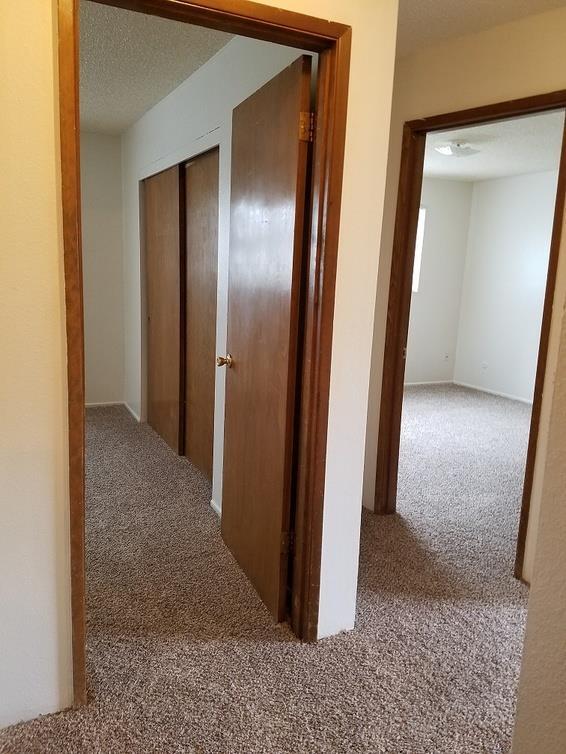 Rochelle Apartments