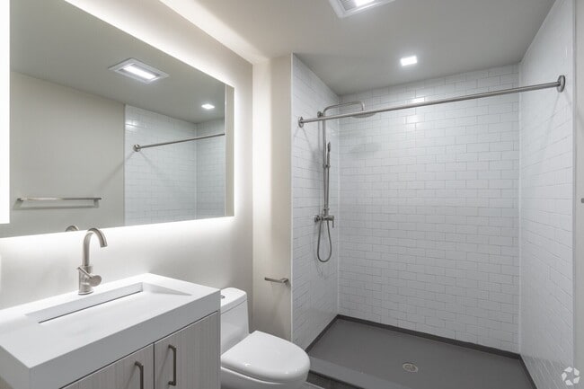 Photo - SOLO on Chestnut - 4233