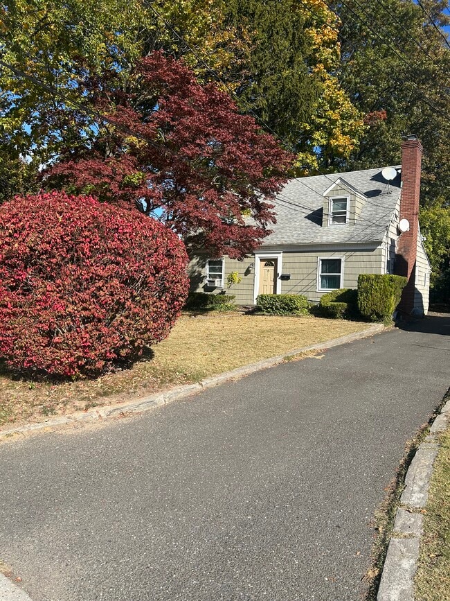 Building Photo - 5 Pearl St Unit 5 pearl st