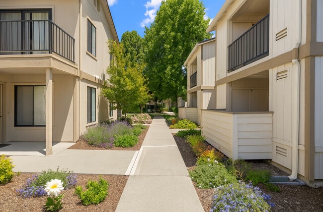 Building Photo - Camino Creek Rental