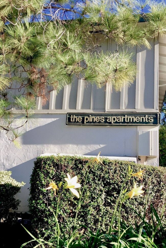Photo - The Pines Apartments