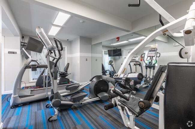 Gimnasio - Fordham Green