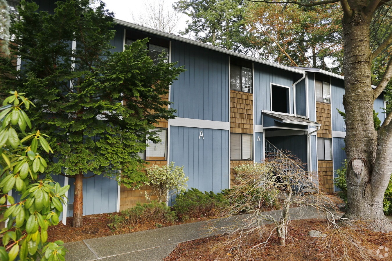 Photo - Shadow Creek Apartments