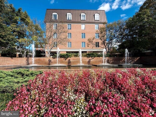 Building Photo - 8101 Connecticut Ave Unit S-701 Rental