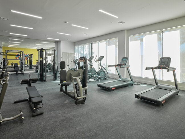 Photo - Canopy West River Phase II