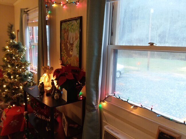 Photo - Unit #9 - Cullowhee Cabins & Cottages