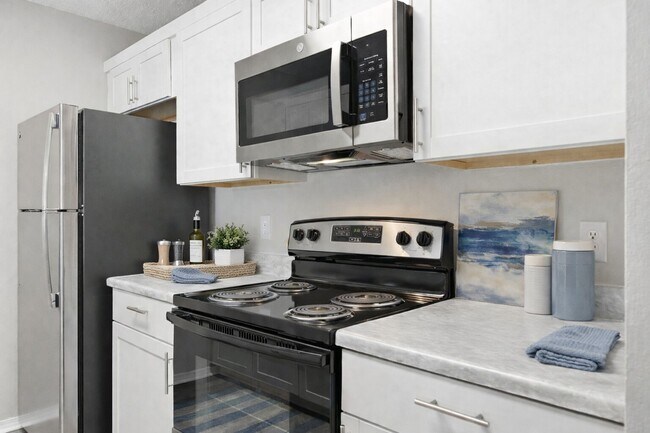 Stainless Steel Appliances