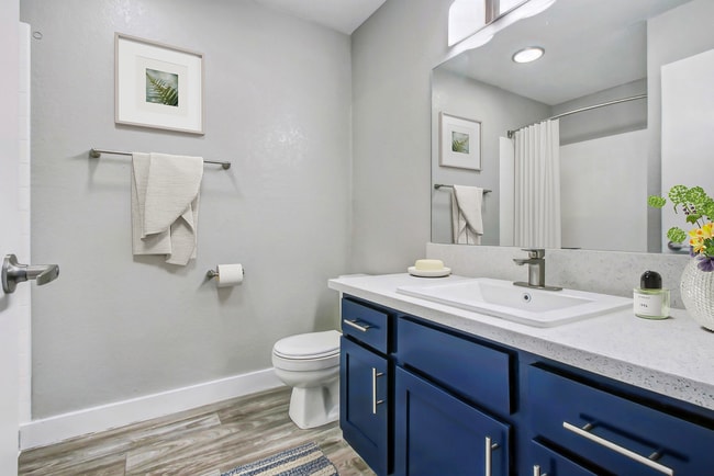 Fifty-Seven 95 Flamingo Apartments - Las Vegas, NV | ForRent.com