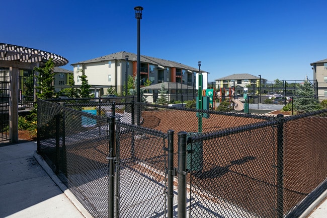 The Bailey At Amazon Creek apartments — community photo